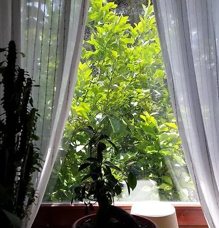 Appartement Aria *